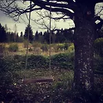 Kaeaenu Puhkemaja 펜션 *