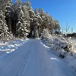 펜션 Kaeaenu Puhkemaja 라크베레