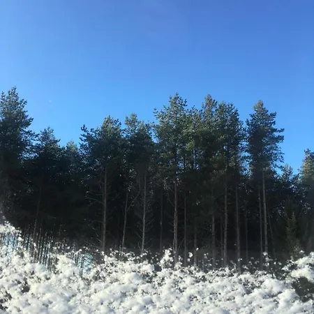 Kaeaenu Puhkemaja *