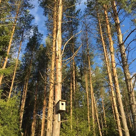 Kaeaenu Puhkemaja Holiday home Rakvere
