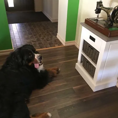 Kaeaenu Puhkemaja Rakvere