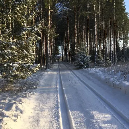 Ferienhaus Kaeaenu Puhkemaja