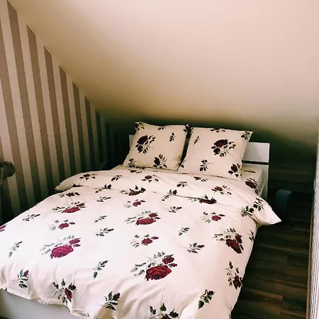 Kaeaenu Puhkemaja * Rakvere