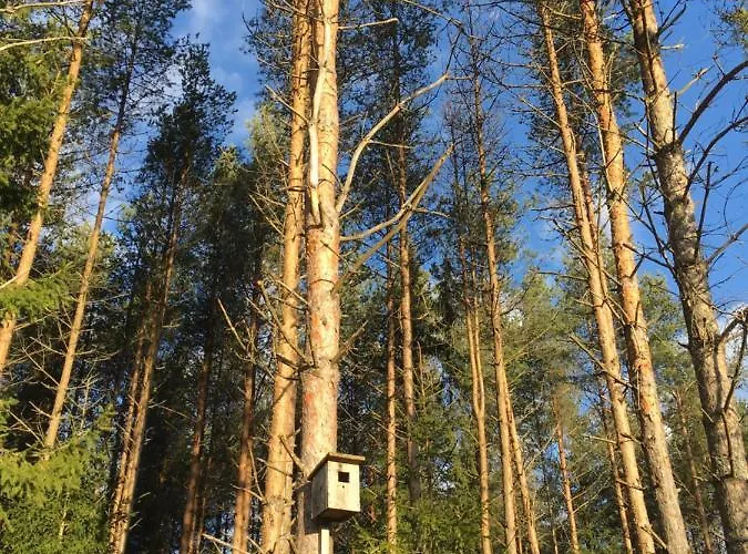 Kaeaenu Puhkemaja Nyaraló Rakvere