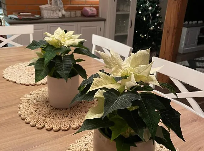 Holiday home Kaeaenu Puhkemaja *