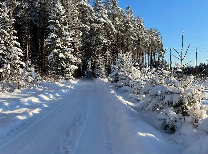 Holiday home Kaeaenu Puhkemaja Rakvere