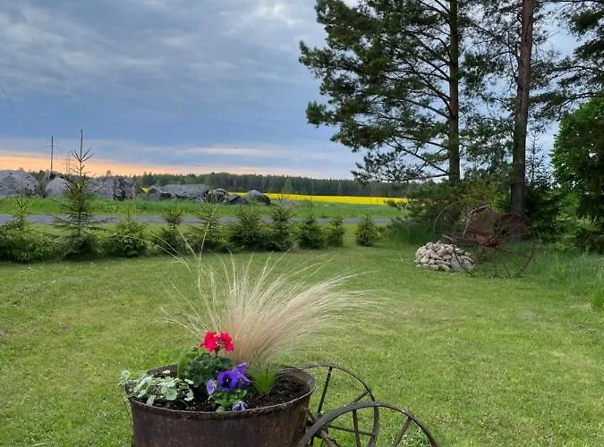 Kaeaenu Puhkemaja Holiday home *