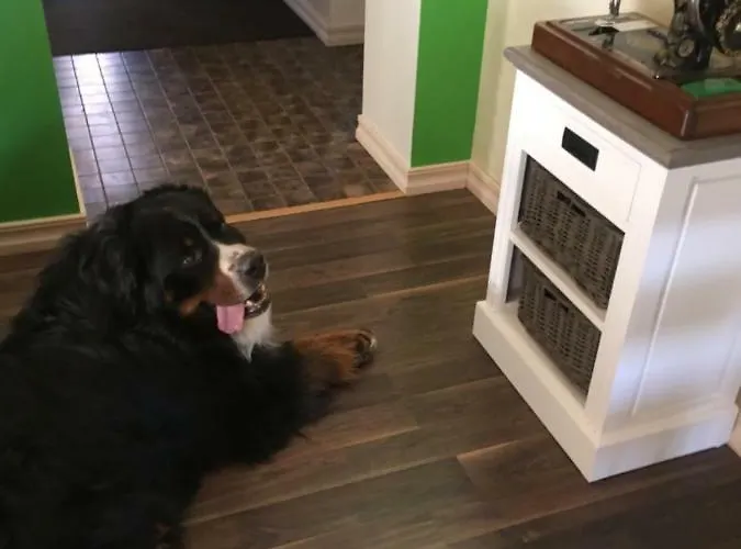 Kaeaenu Puhkemaja Rakvere