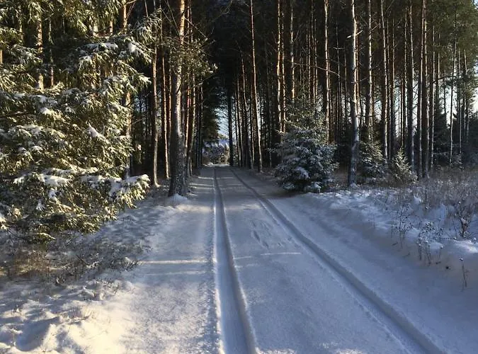 Holiday home Kaeaenu Puhkemaja